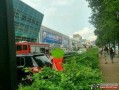 顺德陈村新闻爆料,揭秘陈村最新动态与热点事件