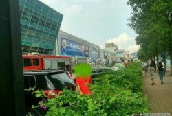 顺德陈村新闻爆料,揭秘陈村最新动态与热点事件