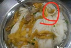 学生爆料食堂饭菜视频,学生爆料饭菜实况，引发网友热议