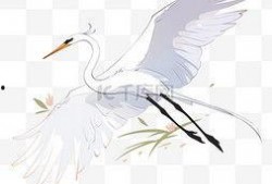 白鹭动漫在线观看,在线观看，畅享青春奇幻之旅